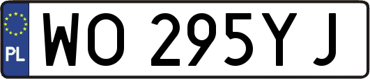 WO295YJ