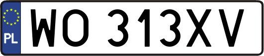 WO313XV