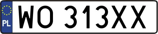 WO313XX