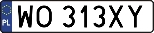 WO313XY
