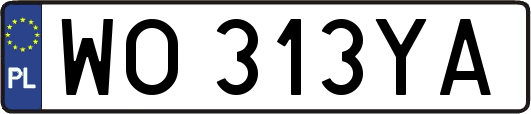 WO313YA