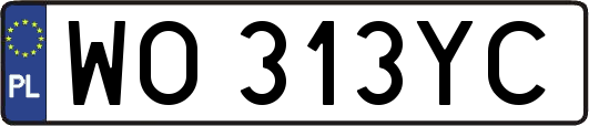 WO313YC