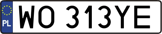 WO313YE