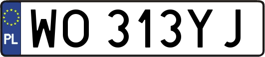 WO313YJ