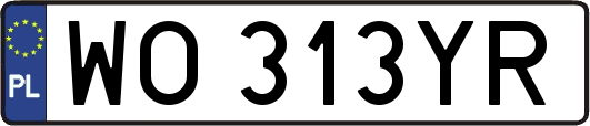 WO313YR