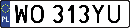WO313YU