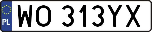 WO313YX