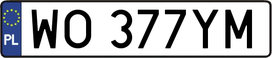 WO377YM