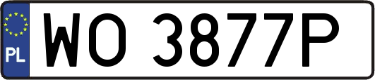 WO3877P