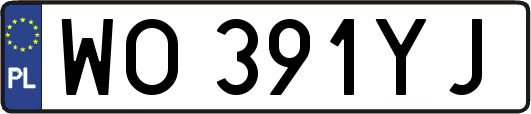 WO391YJ