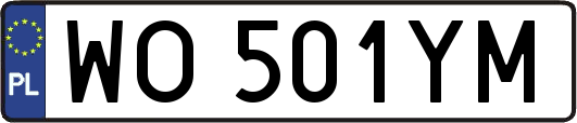 WO501YM