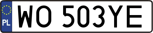 WO503YE