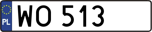 WO513