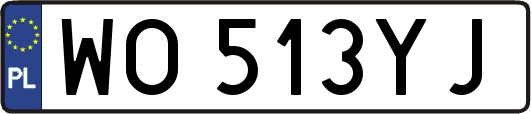 WO513YJ