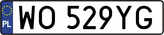 WO529YG