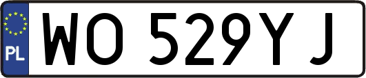 WO529YJ