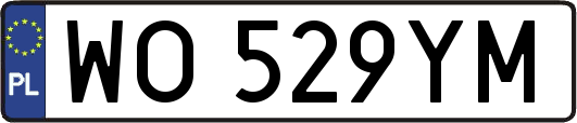 WO529YM