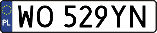 WO529YN