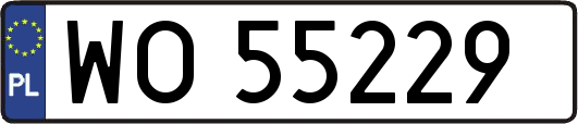 WO55229