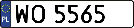 WO5565