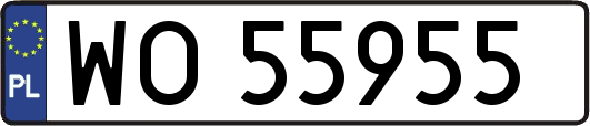 WO55955