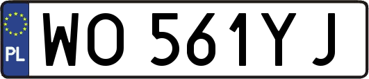 WO561YJ