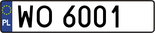 WO6001