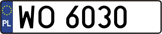 WO6030