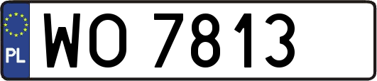 WO7813