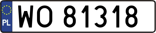 WO81318