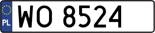 WO8524