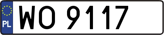 WO9117