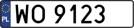 WO9123