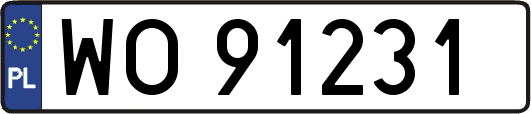 WO91231