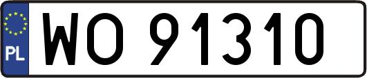WO91310