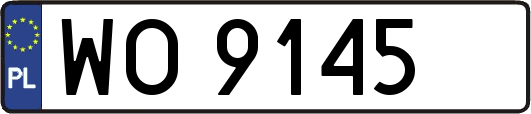WO9145