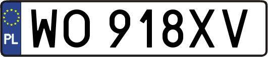 WO918XV