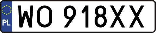 WO918XX