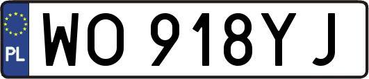 WO918YJ