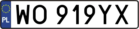 WO919YX