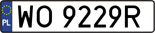 WO9229R