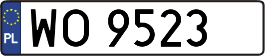 WO9523