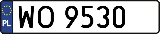 WO9530