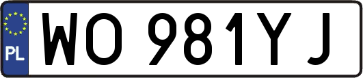 WO981YJ