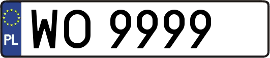 WO9999