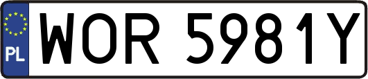 WOR5981Y