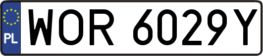 WOR6029Y