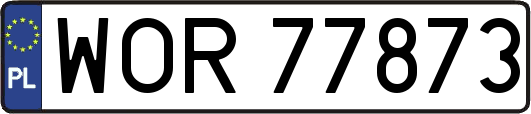 WOR77873