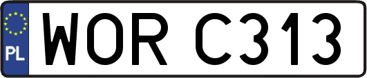 WORC313