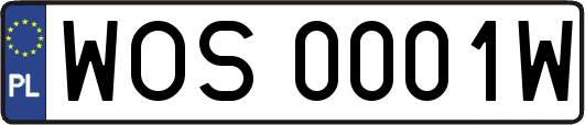 WOS0001W